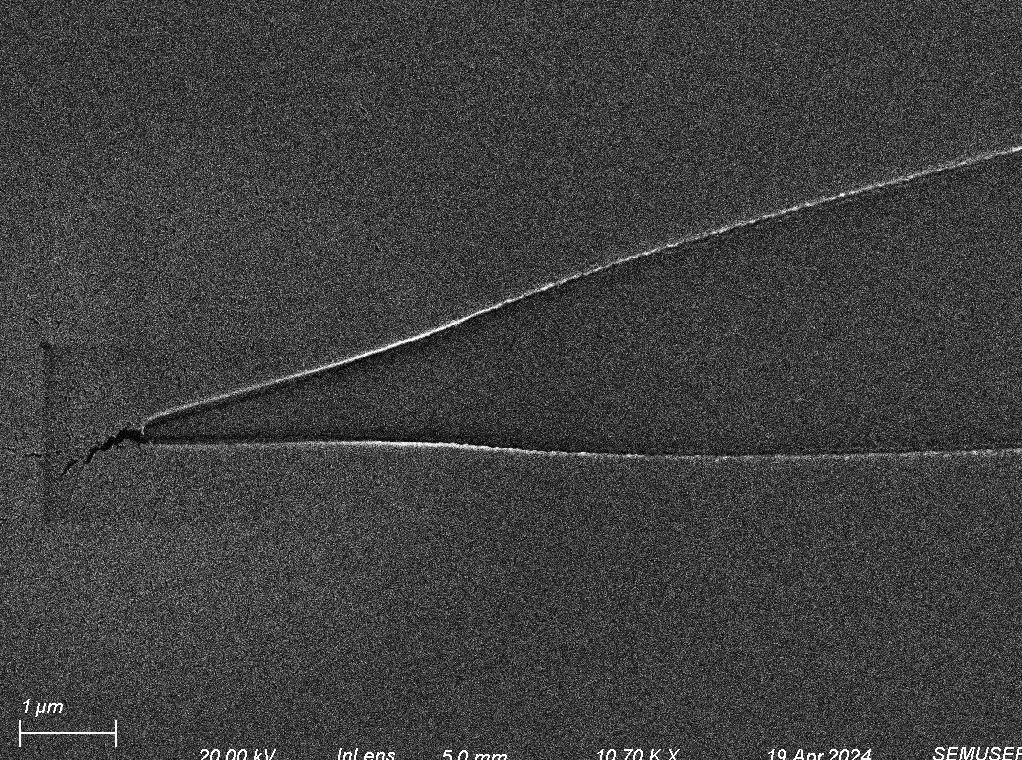 Second Image